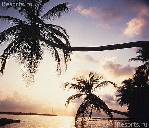 Reethi Beach Resort 40